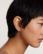 Picture of Pendientes Flora