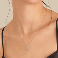 Foto de Gargantilla Glam placa en plata