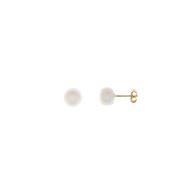 Foto de Pendientes de plata baño oro con perlas barrocas de agua dulce 8-9mm