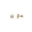 Picture of Pendientes dorados puntos de luz rosa