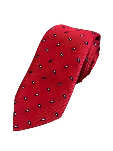 Foto de Corbata seda jacquard ameba roja