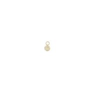Foto de Charm Medallita de plata baño de oro
