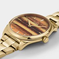 Foto de Reloj Cluse Fierce Petite Acero Ojo de Tigre, Color Oro