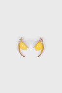 Foto de Pendientes Lemon