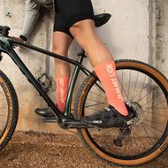 Picture of Calcetines performance Pink