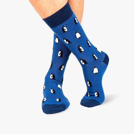 Picture of Calcetines Penguins Blue
