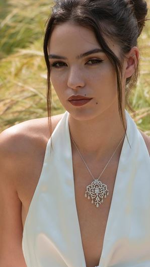 Picture of Gargantilla y broche de plata rodaida con filigrana de flores en circonitas blancas brillantes