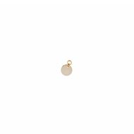 Picture of Charm Medalla de plata baño de oro