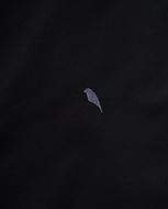 Foto de Camisa negra Extraslim fit en popelín de algodón elástico