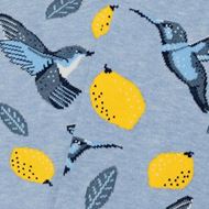 Foto de Calcetines Birds & Lemons azul claro L