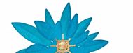 Foto de Pendientes de plata baño de oro diamantado media flor turquesa