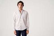 Foto de Camisa estampado raspitas verdes