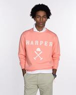 Foto de Sudadera New England Light Coral