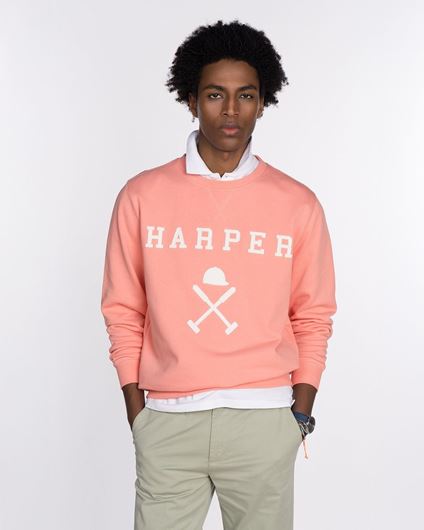 Foto de Sudadera New England Light Coral