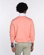 Foto de Sudadera New England Light Coral