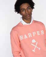 Foto de Sudadera New England Light Coral