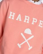 Foto de Sudadera New England Light Coral