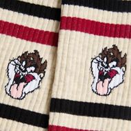 Foto de Calcetines Athletic Taz Beige L