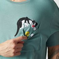 Picture of Camiseta Silvester Sage Green