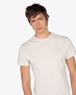 Picture of Camiseta Ayram Light Camel
