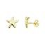 Foto de Pendientes estrellas de mar en oro amarillo 18kt y circonitas blancas