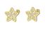 Foto de Pendientes de bebé Estrellas en oro amarillo 18kt y circonitas blancas