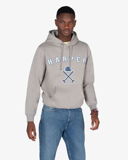 Foto de Sudadera Retro Hoodie Gray Ash