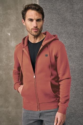 Foto de Sudadera con capucha terracota Darío Beltrán