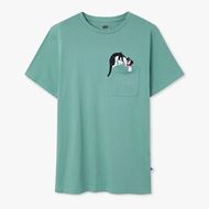 Picture of Camiseta Silvester Sage Green