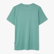 Picture of Camiseta Silvester Sage Green