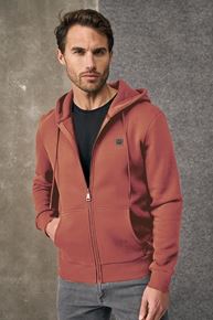 Cuadro para la categoría Sudaderas hombre