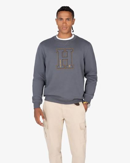 Foto de Sudadera Harvard Antracita