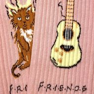 Foto de Calcetines Athletic Friends Cat Pink L