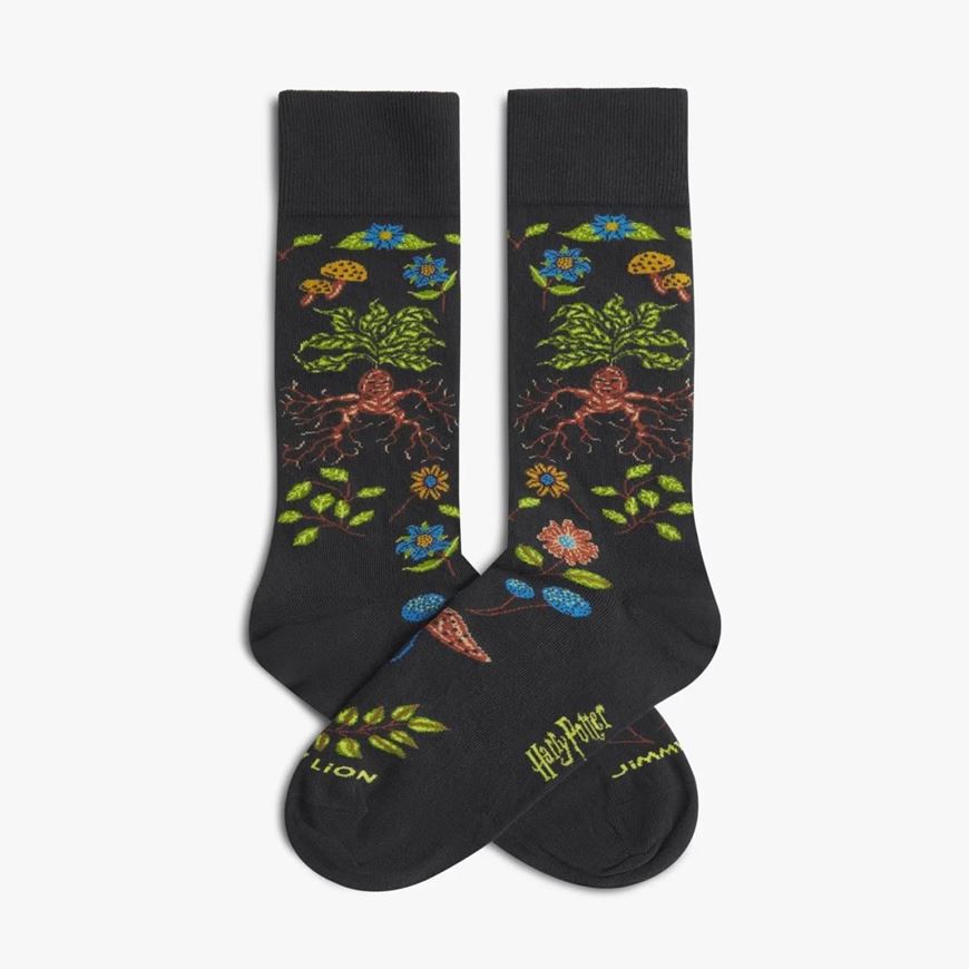 Foto de Calcetines Harry Potter Herbology Dark Grey L