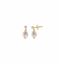 Foto de Pendientes Minijewels plata chapado dorado perla redonda y