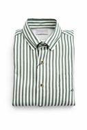 Foto de Camisa Regular Fit rayas verdes