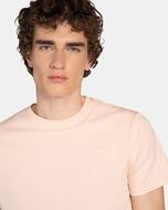 Foto de Camiseta Biscuit Retro Logo Vintage Rose