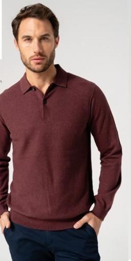 Foto de Jersey cuello polo microestructura color berenjena