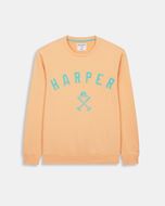 Foto de Sudadera New England Coral Peach