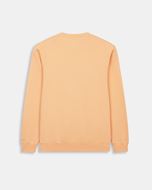 Foto de Sudadera New England Coral Peach