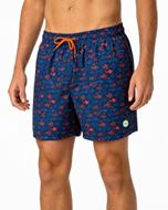 Foto de Bañador DB azul estampado peces
