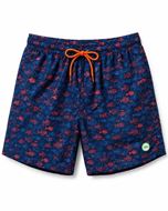 Foto de Bañador DB azul estampado peces