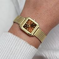 Foto de Mini reloj Gracieuse de malla, color marrón y dorado