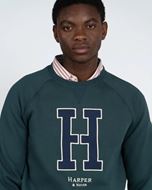 Foto de Sudadera ranglan H verde bosque