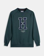 Foto de Sudadera ranglan H verde bosque