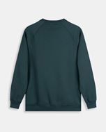 Foto de Sudadera ranglan H verde bosque