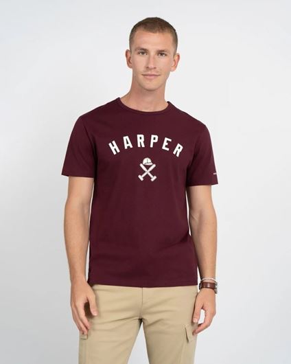 Foto de Camiseta New England Burgundy