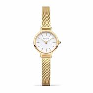 Foto de Set reloj baño oro classic 22mm y pulsera acero baño oro