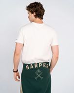 Foto de Camiseta New England crudo